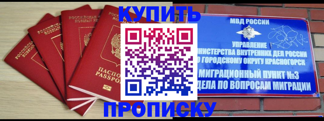 пропишу в квартире в Курской области